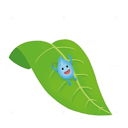 白露节气树叶上滑落的露水手绘元素