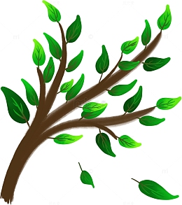 绿色树枝花草植物落叶手绘