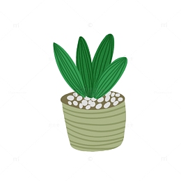 手绘插画室内小盆栽植物