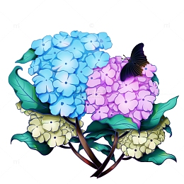 彩色手绘绣球花元素