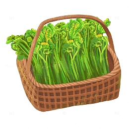 绿色植物篮子里的蕨菜手绘