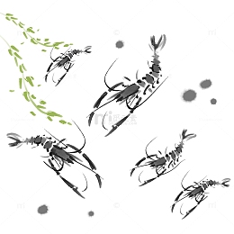 黑白水墨国画虾