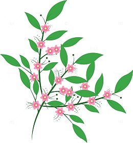 小清新教师节花枝图