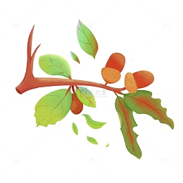 绿色清新小植物素材