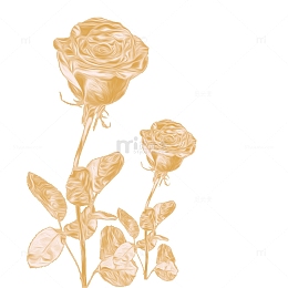 金色，玫瑰，装饰，鎏金