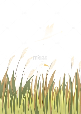 白鹭节气插画手绘元素