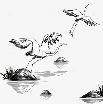 黑白灰水墨风白鹭白露手绘