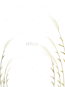 米色手绘芦苇24节气，白露插画