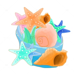 旅游海边手绘贝壳海星海螺