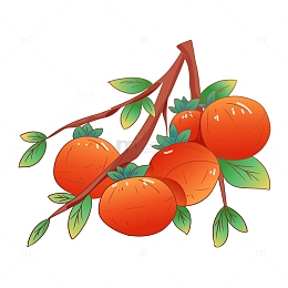 矢量手绘线描风柿子装饰元素