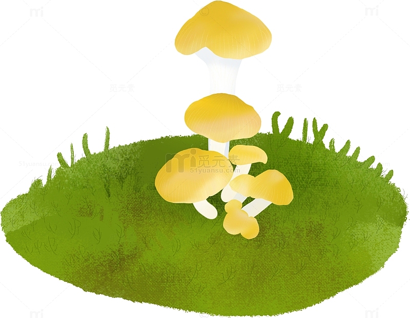 黄色渐变植物菌类蘑菇花草手绘
