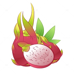 矢量手绘线描风水果火龙果装饰元素