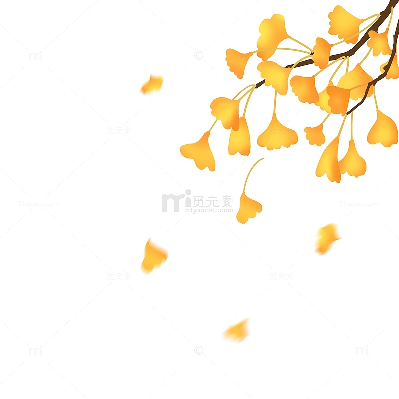 手绘秋天银杏叶秋分节气海报装饰元素