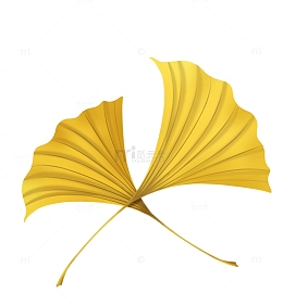 秋天秋分手绘银杏叶落叶黄叶意境