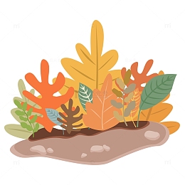 秋天多彩叶子秋叶枫叶