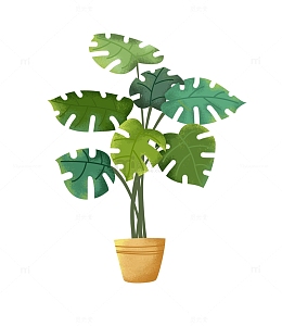 绿色植物小清新手绘图大叶活力