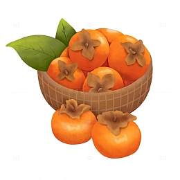 手绘素材插画柿子