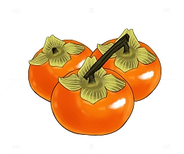 水果秋分丰收手绘写实柿子树枝元素