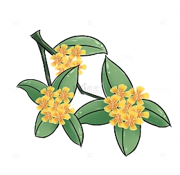 小清新九月金秋手绘桂花秋分素材