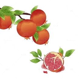 秋天秋分美食石榴手绘水果元素