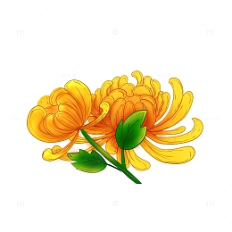 手绘渐变线描风重阳节菊花装饰元素