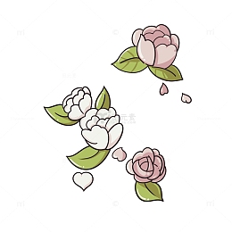 粉白色玫瑰山茶花卡通手绘图
