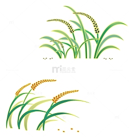 手绘国潮黑米红米植株