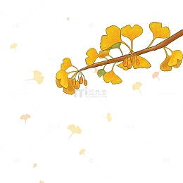 金黄色银杏叶银杏果装饰植物秋天秋分手绘图