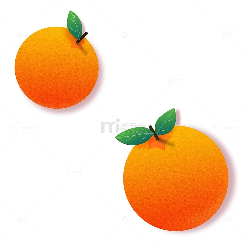 手绘简约装饰两个大橘子
