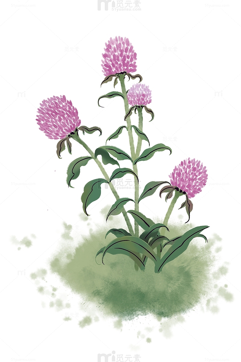 紫色小清新水墨秋季花卉插画