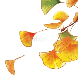 简约手绘秋天树叶秋分节气元素