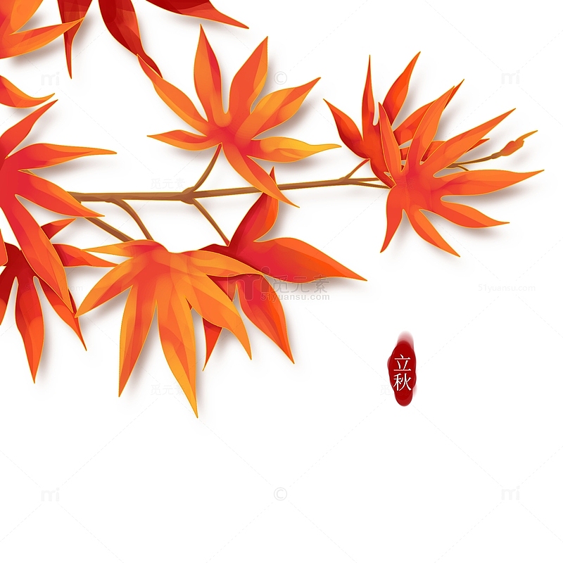 红色简约立秋秋天枫叶元素