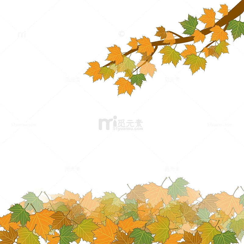 秋天秋季枫叶落叶装饰植物手绘图