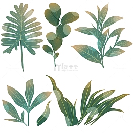 绿扁平风植物树叶子青草春夏天梦幻