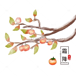手绘简约霜降节气素材