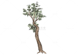 绿色水墨手绘风格树木素材