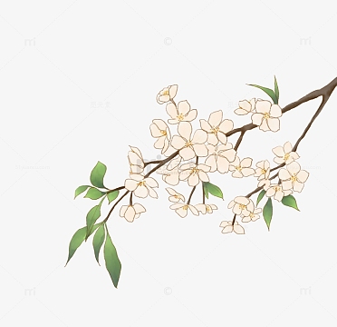 淡雅小清新千树万树梨花开手绘图