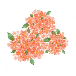 粉色水彩植物花卉花草花团锦簇手绘