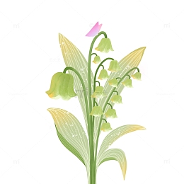清新铃兰装饰花卉植物蝴蝶文艺手绘插画