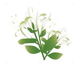 绿色小清新金银花中药矢量插画图