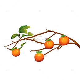 橘色手绘简约柿子枝条霜降节气元素
