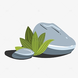 灰色石头鹅软石夹缝中的植物两个石头
