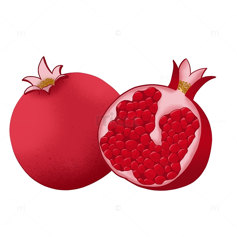 红色水果石榴手绘图
