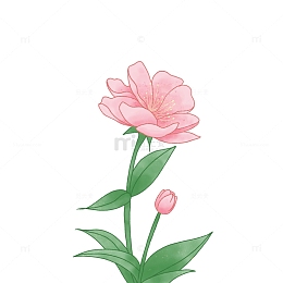红色小清新海棠花花朵手绘