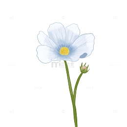 白色蓝色纯洁小花淡雅手绘