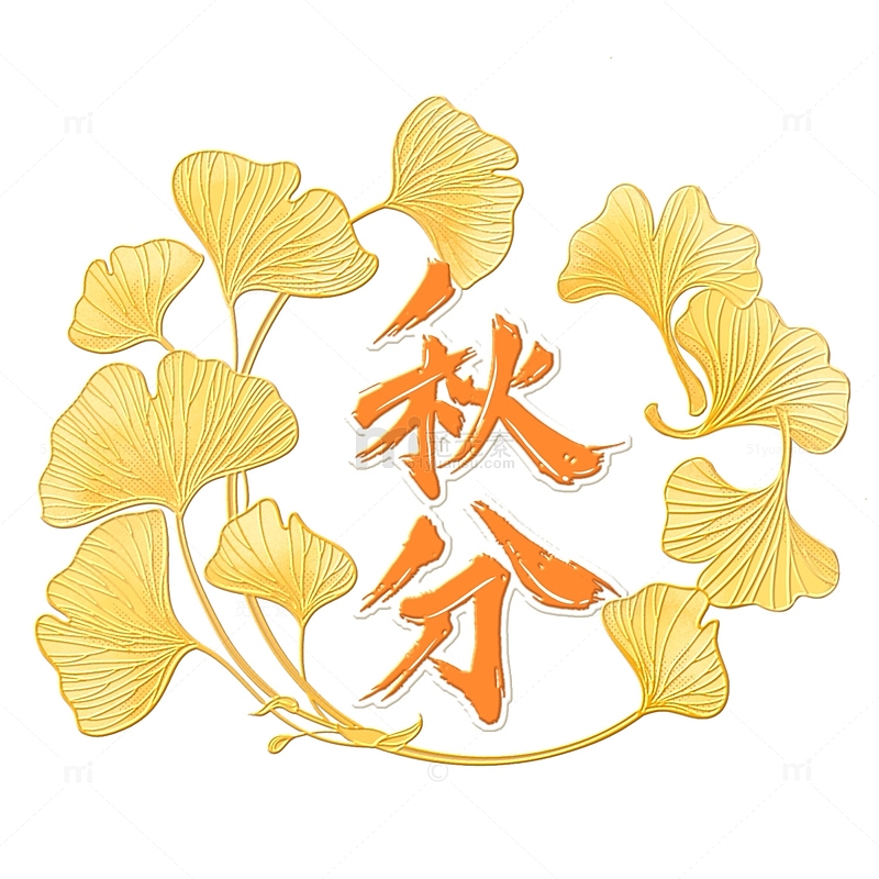 黄色银杏植物清新秋分节气手绘插画