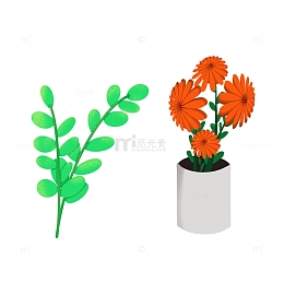 橘色的小菊花和阳光下绿叶