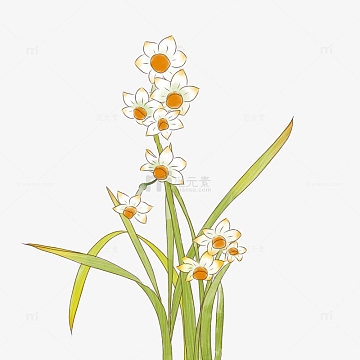 手绘水彩淡彩水仙花彩铅文艺清新花卉绿植物