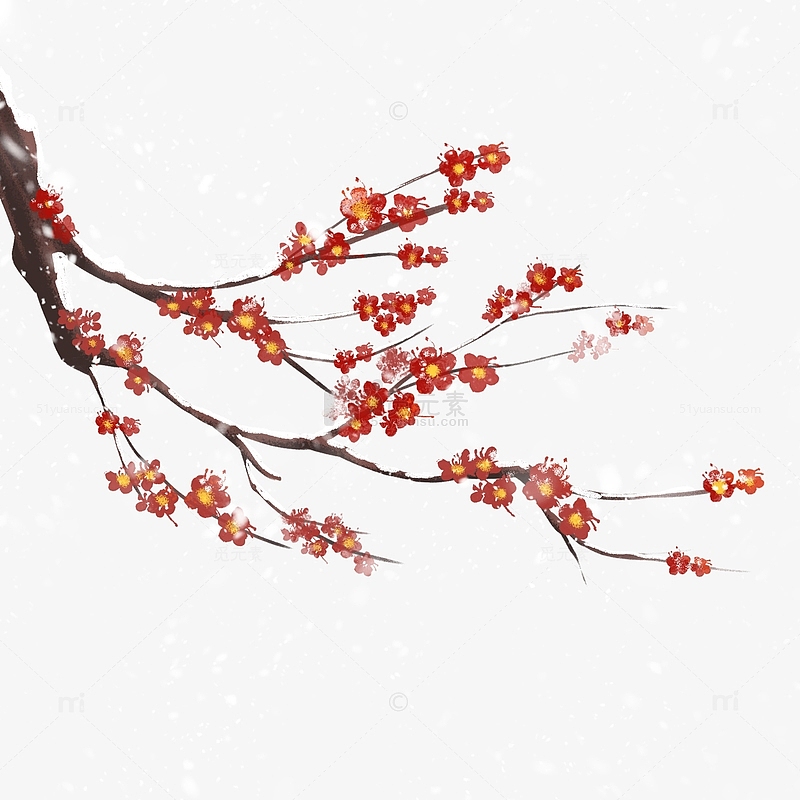 冬天红色梅花树枝元素