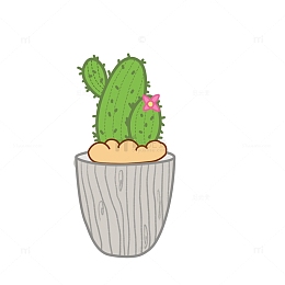 绿色小清新开花的仙人球盆栽手绘图